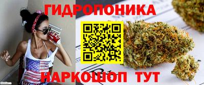 спиды Шелехов